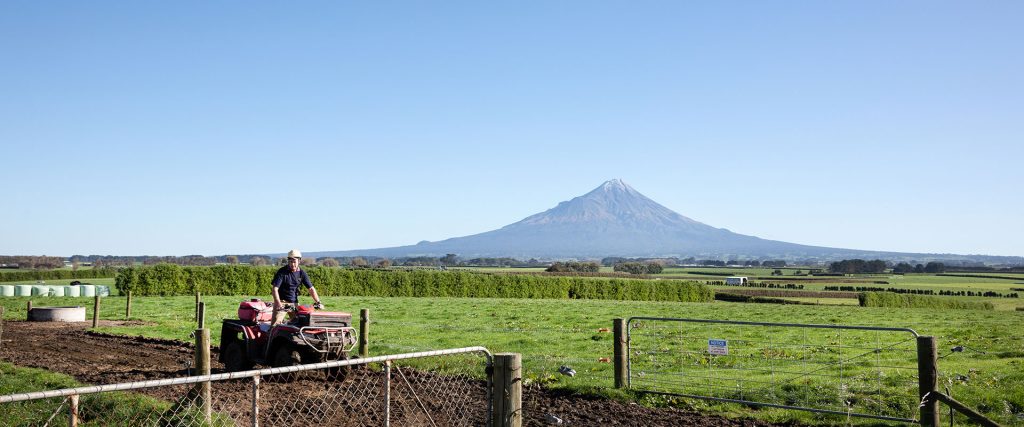The Advisers Taranaki